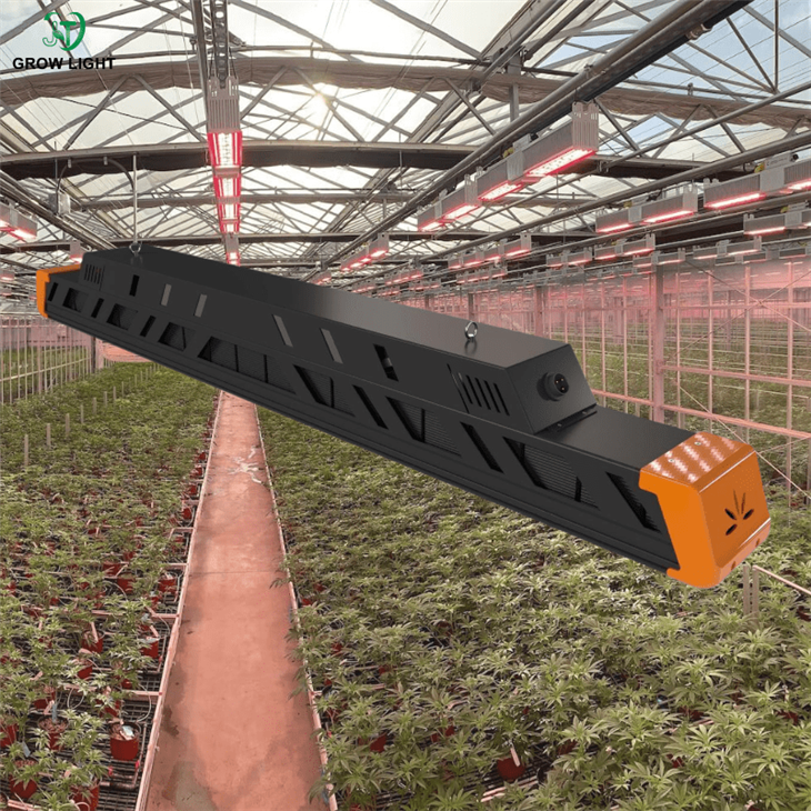 greenhouse supplemental lighting