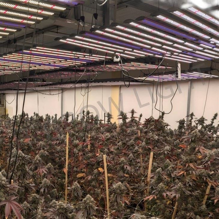 adjustable spectrum led grow lights