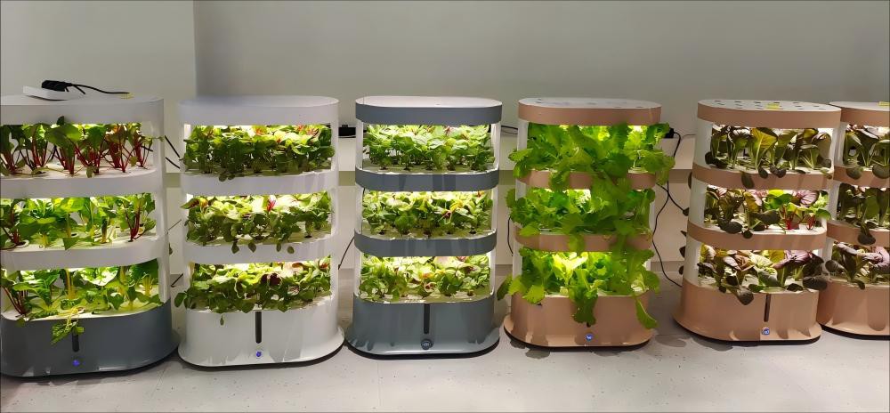 hydroponic plants indoor.jpg
